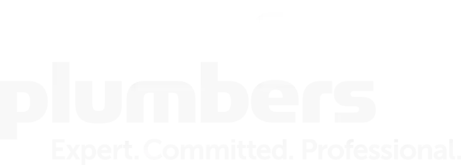 master plumbers logo